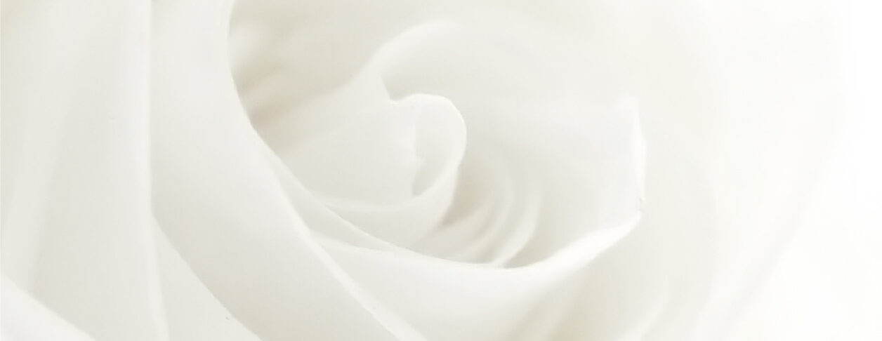 Featured image for “Divine Feminine Flower Essence Workshop | May 7th”